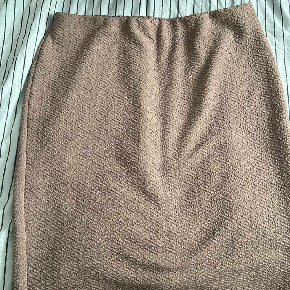 Carole Wren Skirt
